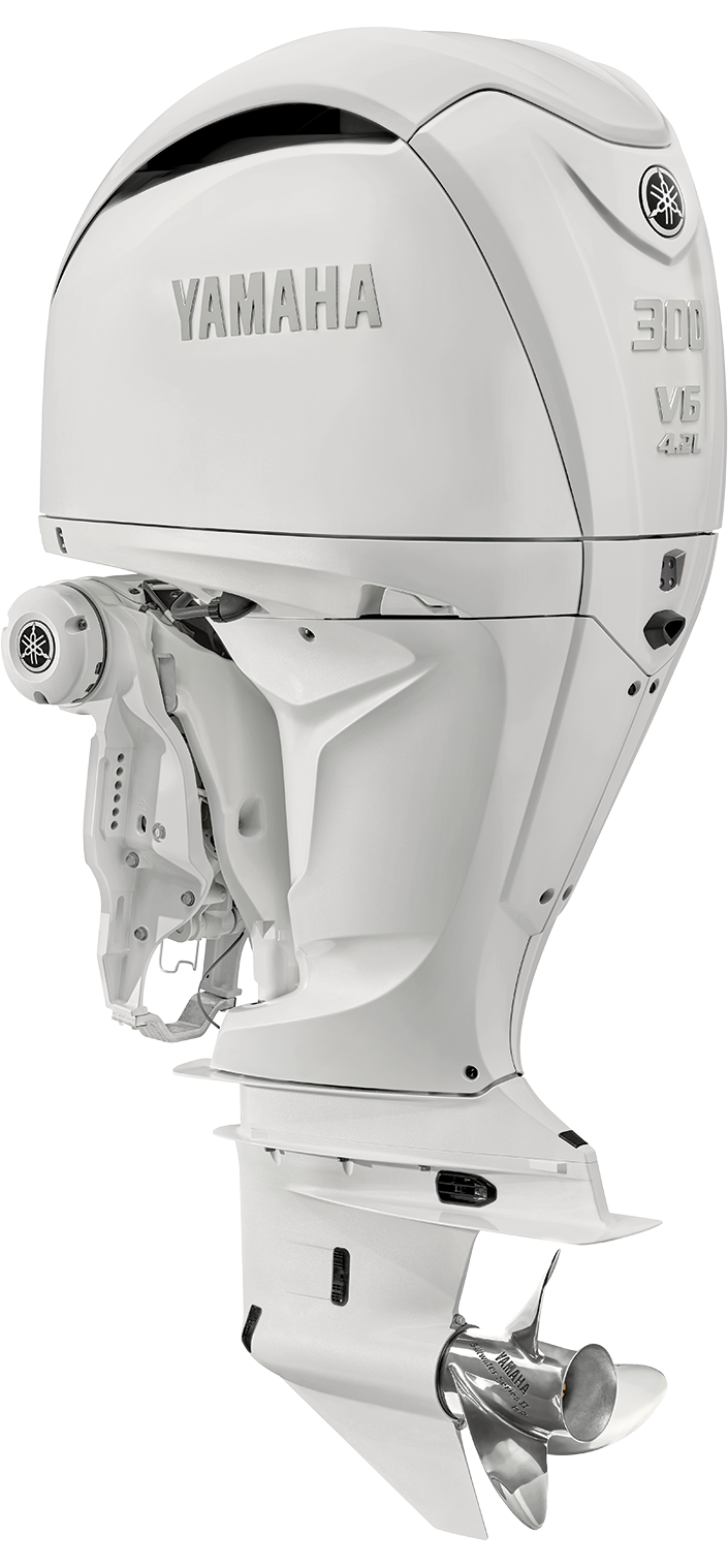 V6 4.2L 300 hp Image