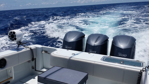 2006-Contender-33T-3